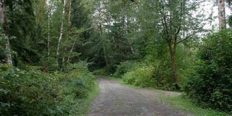 Camper submitted image from Boardman Creek Group Campground