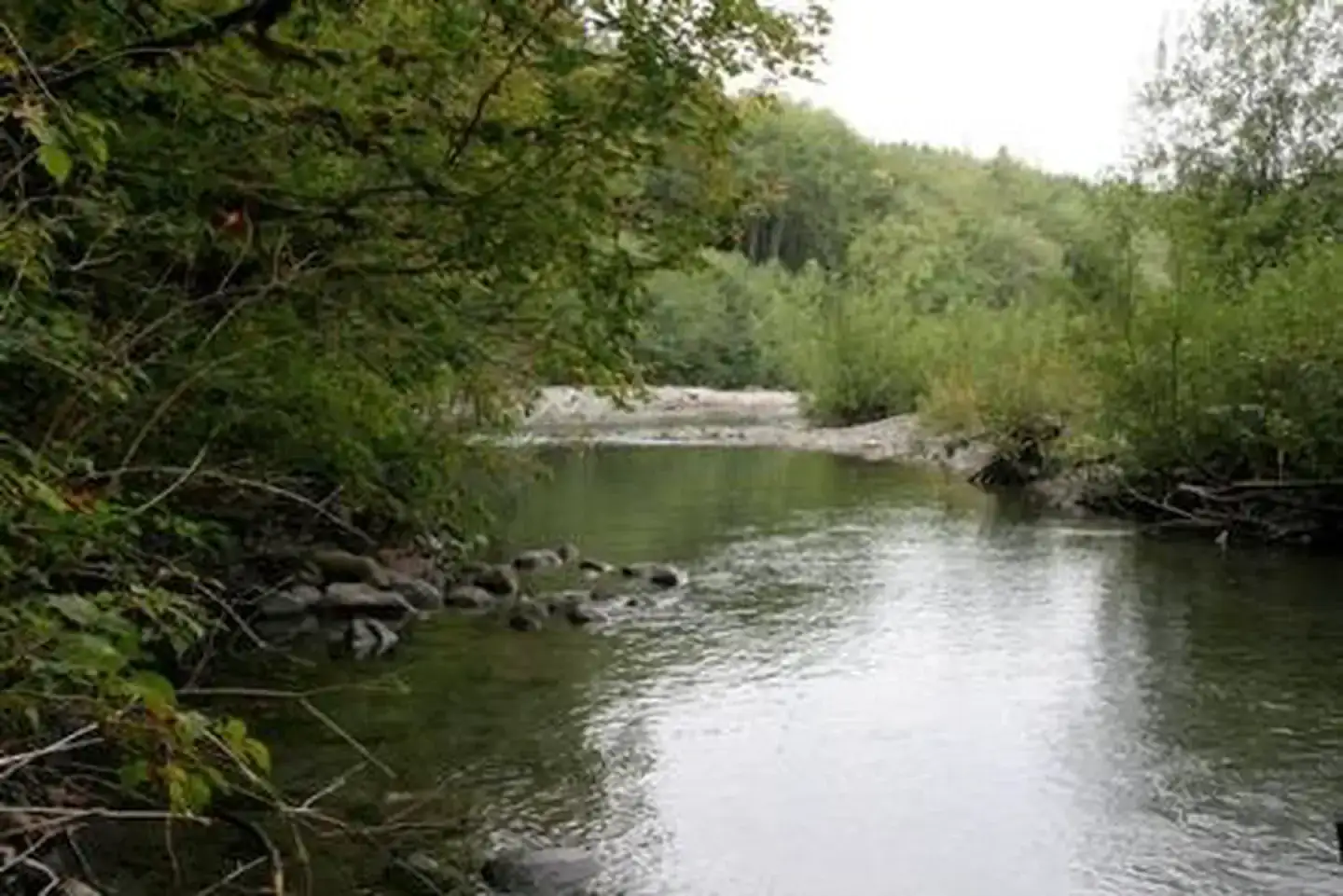 Camper-submitted photo at Boardman Creek Group Campground near Index, WA