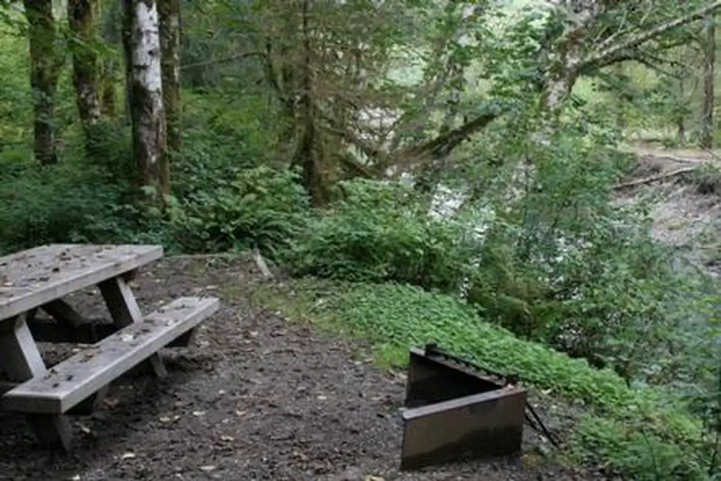 Camper-submitted photo at Boardman Creek Group Campground near Index, WA