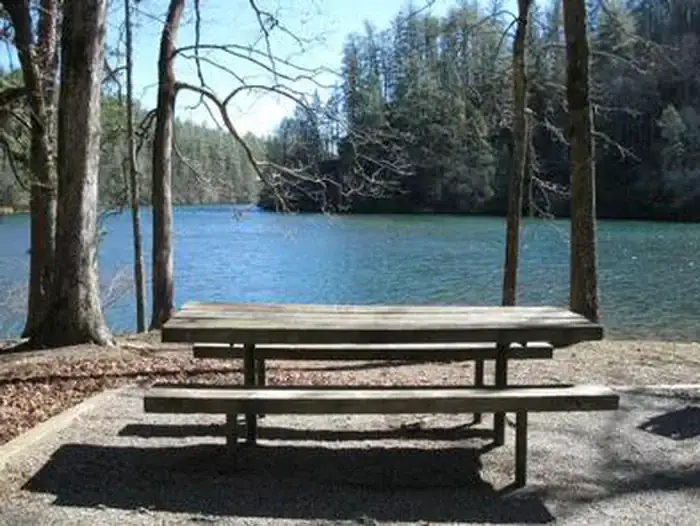 Camping near River Campground: Lake Rabun Beach Recreation Area, Lakemont, Georgia