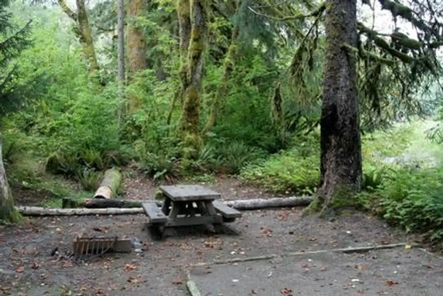 Camper-submitted photo at Boardman Creek Group Campground near Index, WA