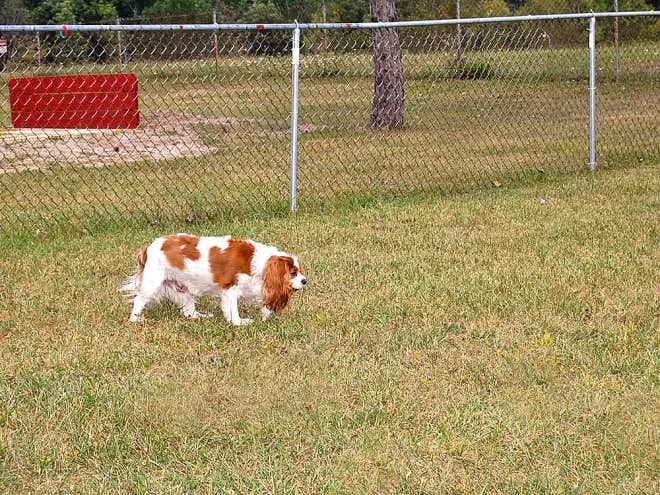 Camper-submitted photo at Thousand Trails St. Clair near Avoca, MI