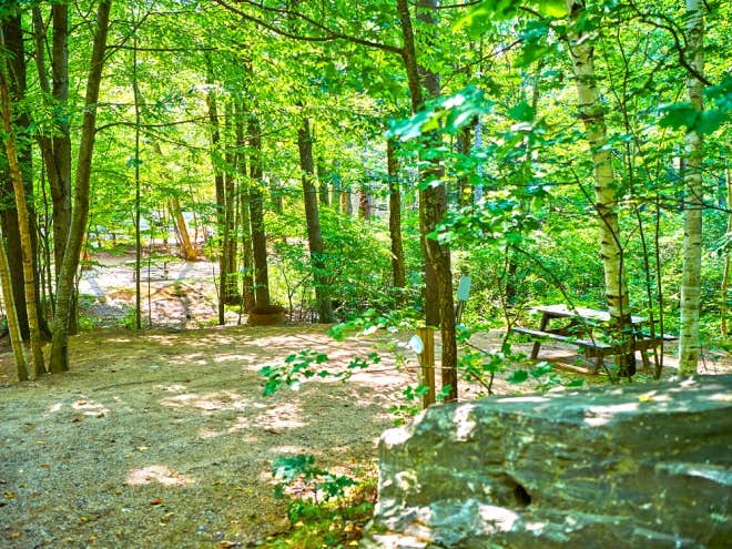 Camper submitted image from Pine Acres Resort - 4