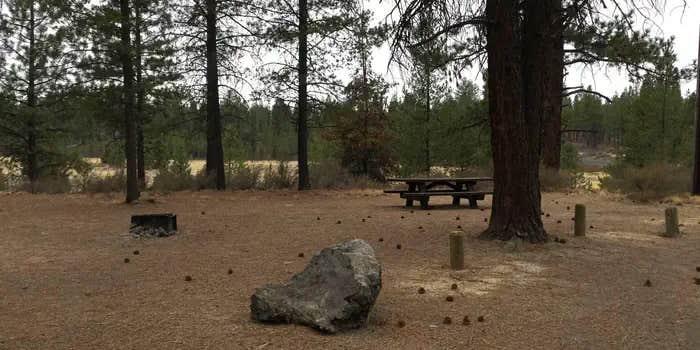 Camper submitted image from Prairie Campground