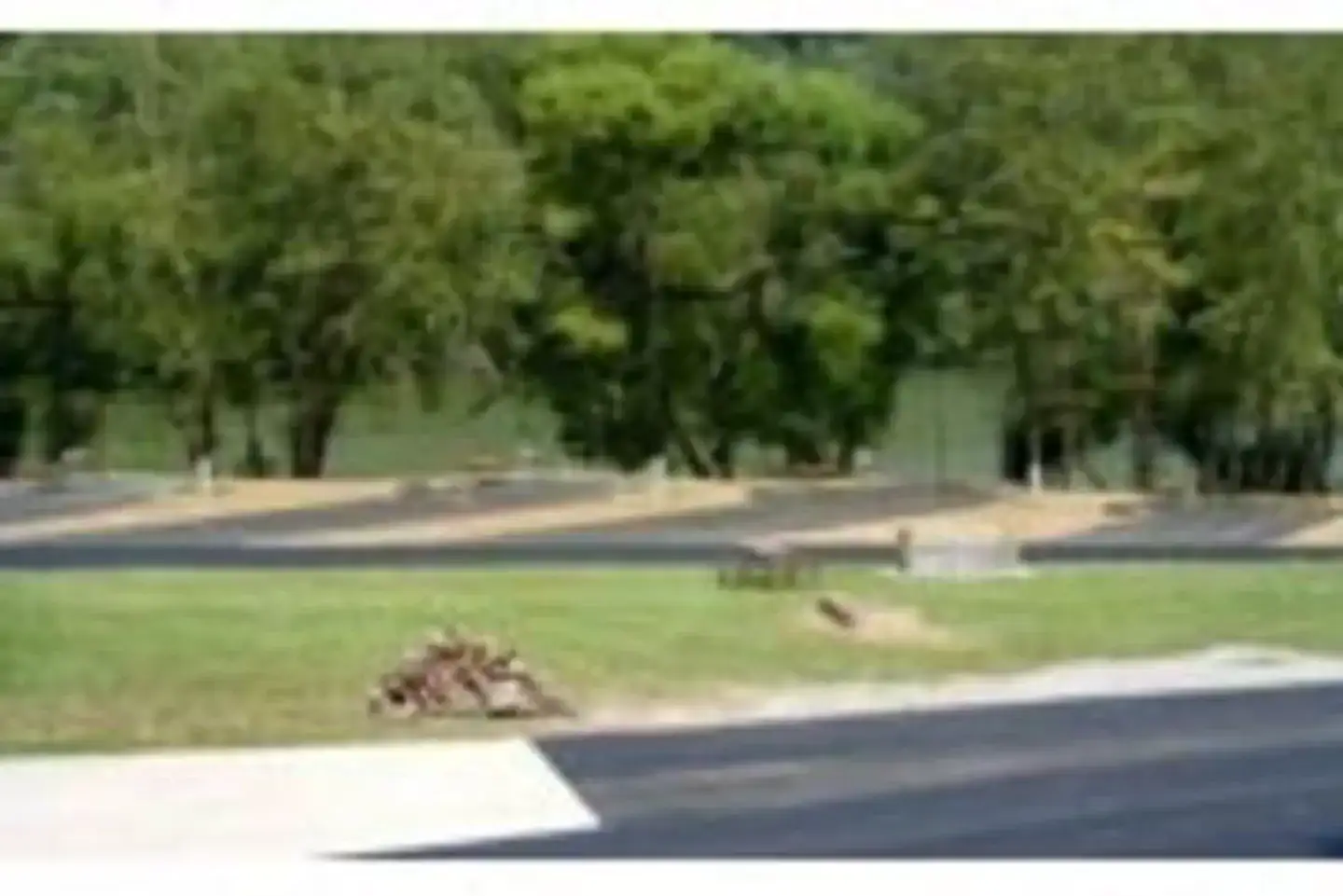 Camper-submitted photo at Trace Branch - Buckhorn Lake near Buckhorn Lake