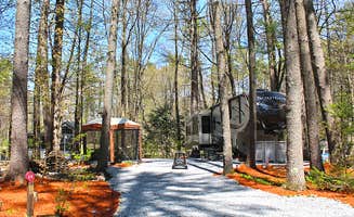 The Dyrt's photo of a cabin at Sandy Beach Campground near Ashby, MA