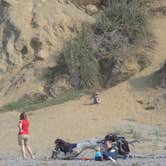 Review photo of Gold Bluffs Beach Campground — Prairie Creek Redwoods State Park by Corinna B., September 24, 2016