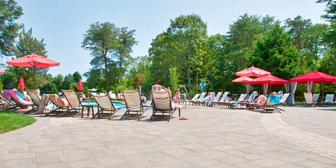 Camper submitted image from Thousand Trails Sea Pines