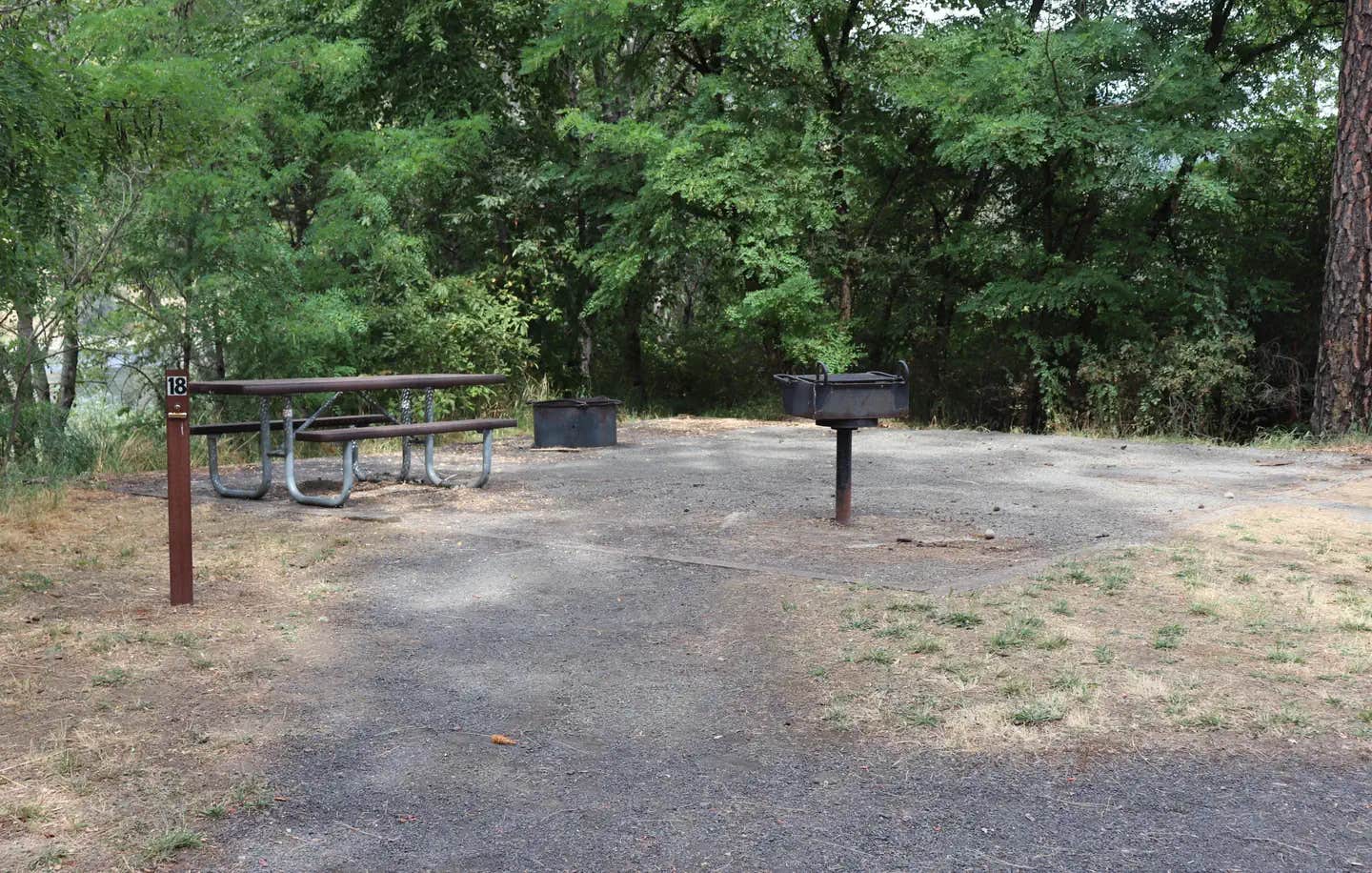 Camper submitted image from Pink House Recreation Site - 1