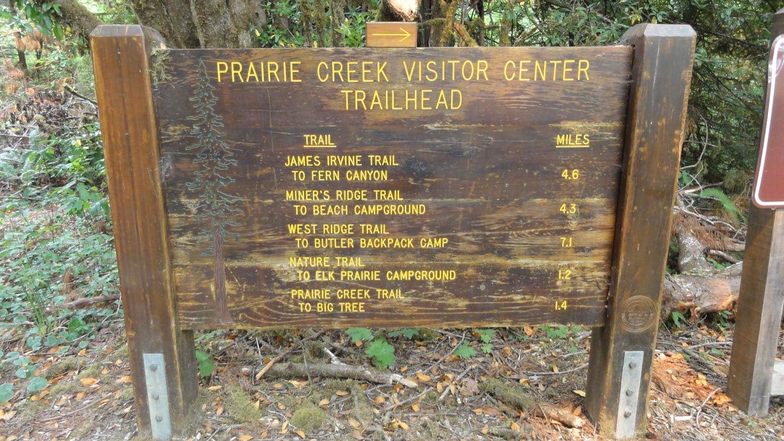 Gold Bluffs Beach Campground Map : Pictures Of Prairie Creek Park / Jul 01, 2021 · a tall waterfall coming off the bluffs at gold beach along the coastal trail north of fern canyon.