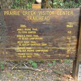Review photo of Gold Bluffs Beach Campground — Prairie Creek Redwoods State Park by Corinna B., September 24, 2016