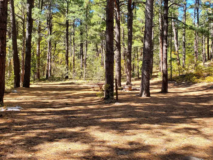 Camping near Pinegrove Campground: Double Springs Campground, Mormon Lake, Arizona