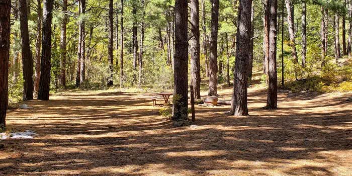 Camper submitted image from Double Springs Campground