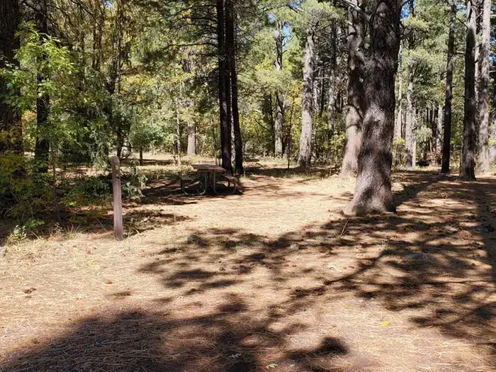 Camper-submitted photo at Double Springs Campground near Coconino National Forest