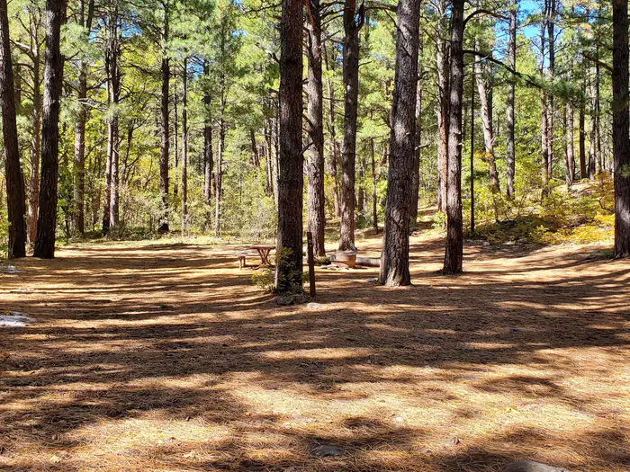 Camper-submitted photo at Double Springs Campground near Coconino National Forest