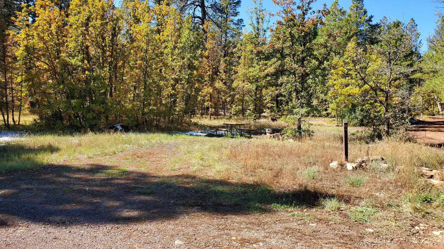 Camper-submitted photo at Double Springs Campground near Coconino National Forest