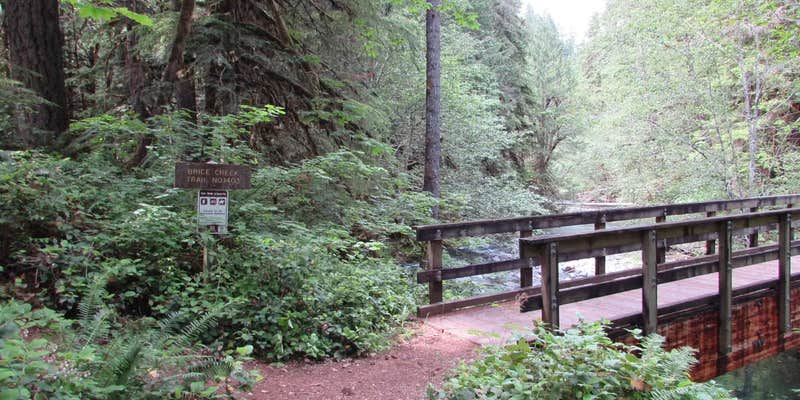 Camper submitted image from Lund Park Campground — Umpqua National Forest