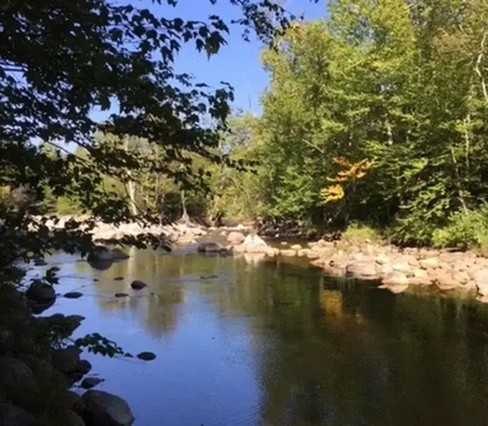 Camper-submitted photo at Dolly Copp Campground in New Hampshire