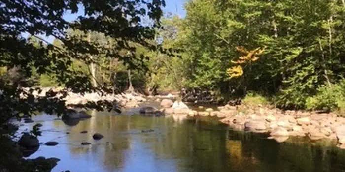 Camper submitted image from Dolly Copp Campground