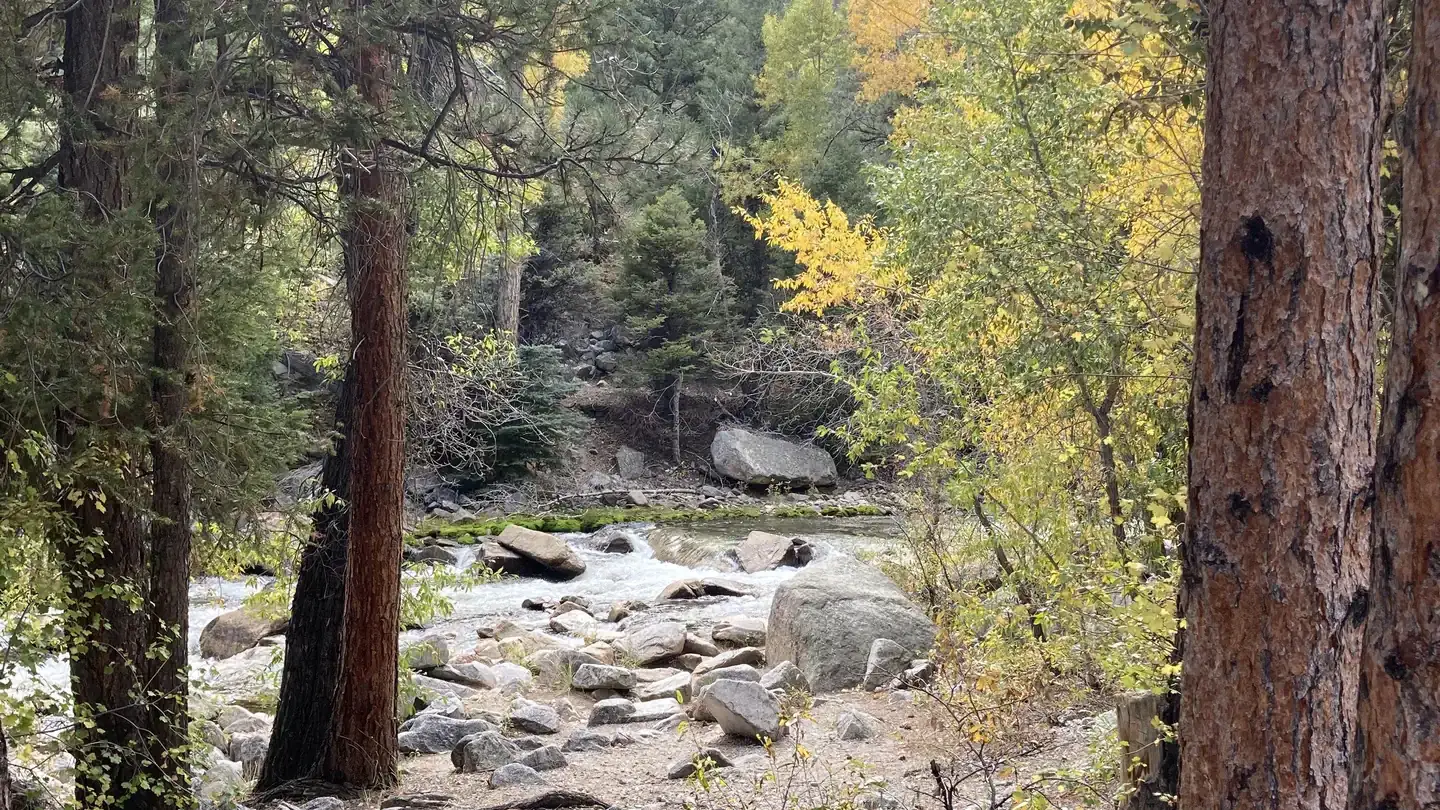 Camper-submitted photo at Mount Princeton near Buena Vista, CO
