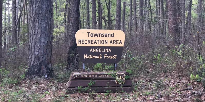 Camper submitted image from Townsend Park