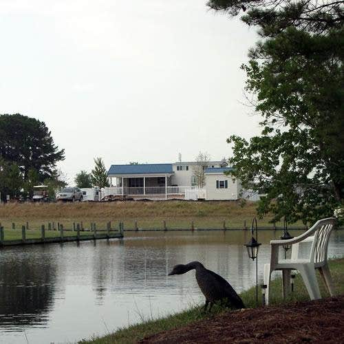 Camper-submitted photo at Twin Lakes Resort near Bridgeton, NC