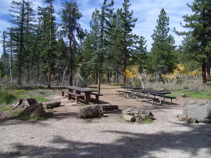 Camper-submitted photo at Duck Creek near Dixie National Forest