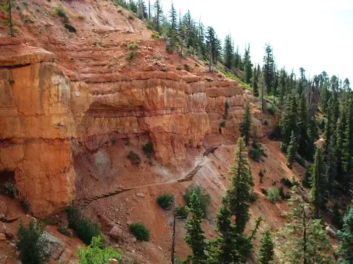 Camper-submitted photo at Duck Creek near Dixie National Forest