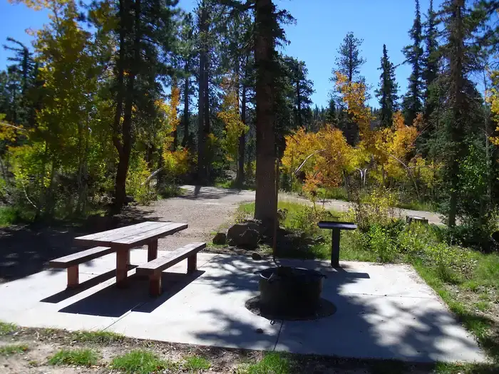 Camper-submitted photo at Duck Creek near Duck Creek Village, UT