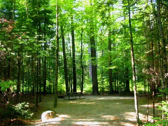 Camping near Pemi River Campground: Campton Campground, Campton, New Hampshire