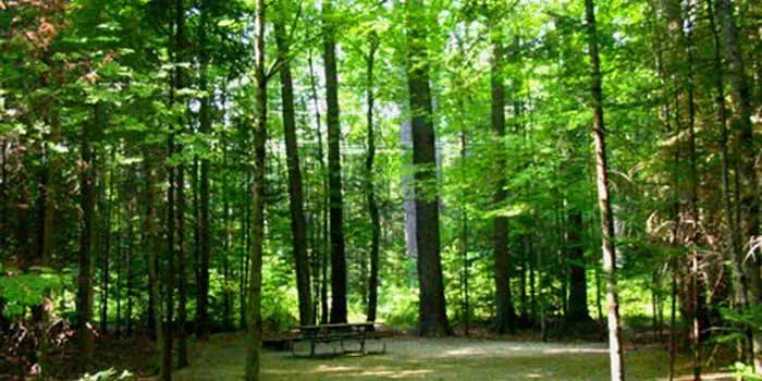 Camper submitted image from Campton Campground