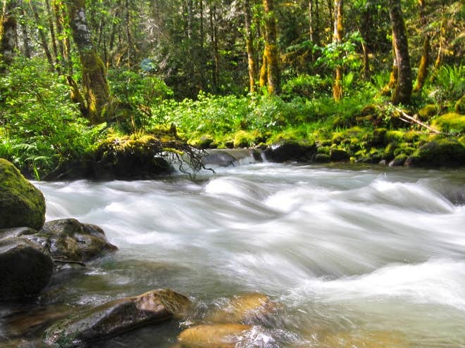 Mt Hood Village Resort