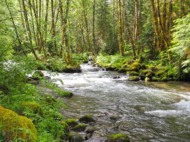 Mt Hood Village Resort