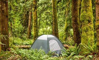 The Dyrt's photo at Mt Hood Village Resort near Rhododendron, OR
