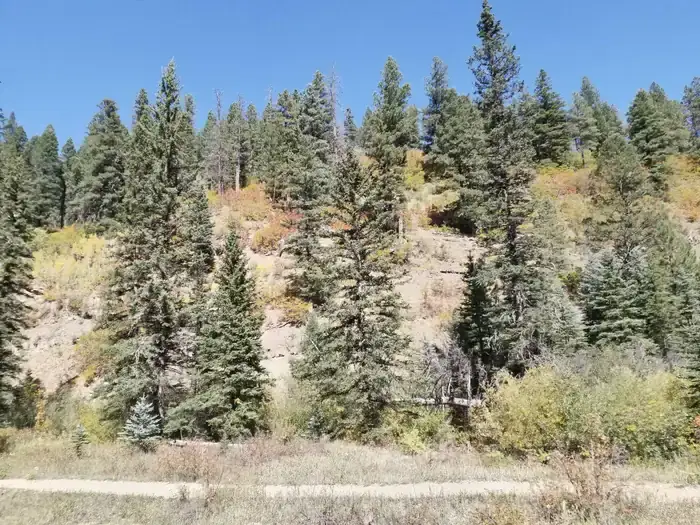 Camper-submitted photo at Panchuela — Santa Fe National Forest near Pecos, NM