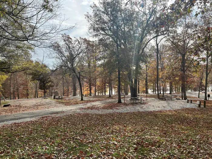 Camper submitted image from Cave Creek - Rough River Lake - 1