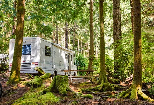 Camper submitted image from Thousand Trails South Jetty - 3