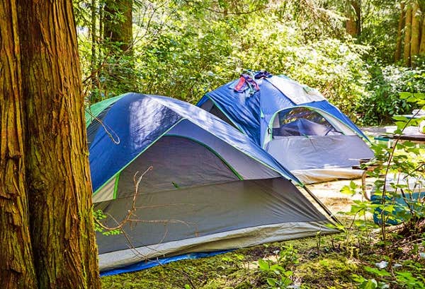The Dyrt's photo at Thousand Trails South Jetty near Florence, OR