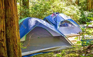 The Dyrt's photo at Thousand Trails South Jetty near Mapleton, OR