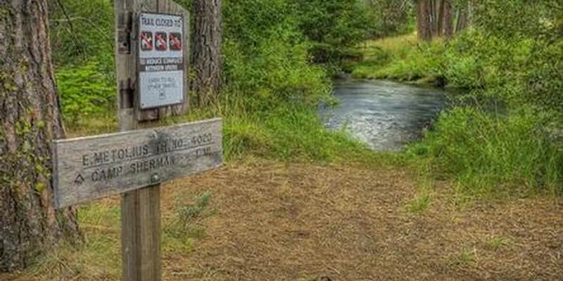 Camper submitted image from Allingham Campground