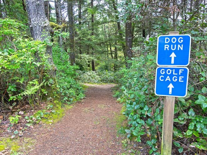 Camper submitted image from Thousand Trails Whalers Rest - 3