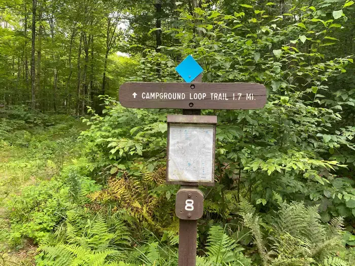 Chittenden Brook Campground