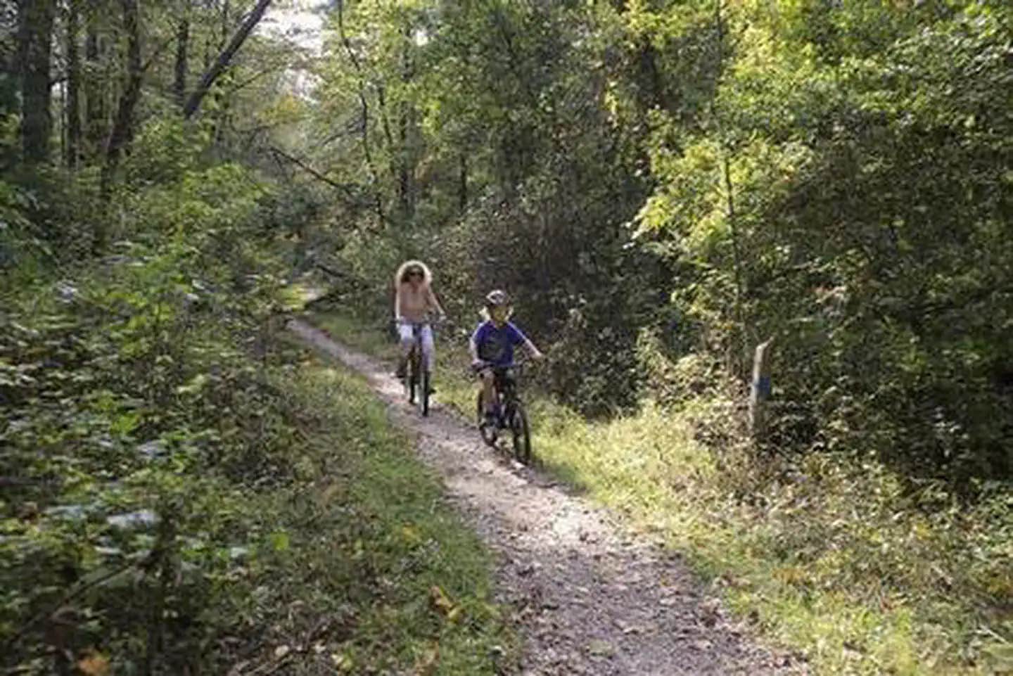 Camper submitted image from Lake Powhatan — National Forests In North Carolina - 1