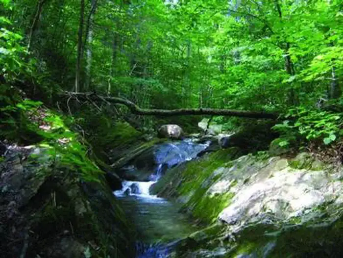 Camper-submitted photo at Chittenden Brook Campground near West Rutland, VT