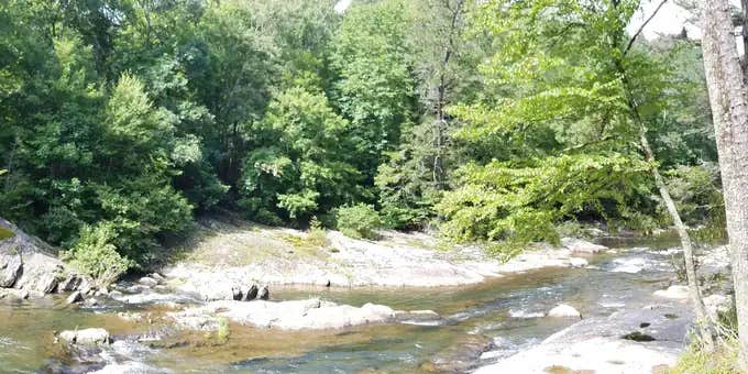 Camper submitted image from Carolina Hemlocks Rec Area