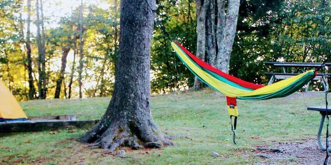 Camper submitted image from Balsam Mountain Campground — Great Smoky Mountains National Park