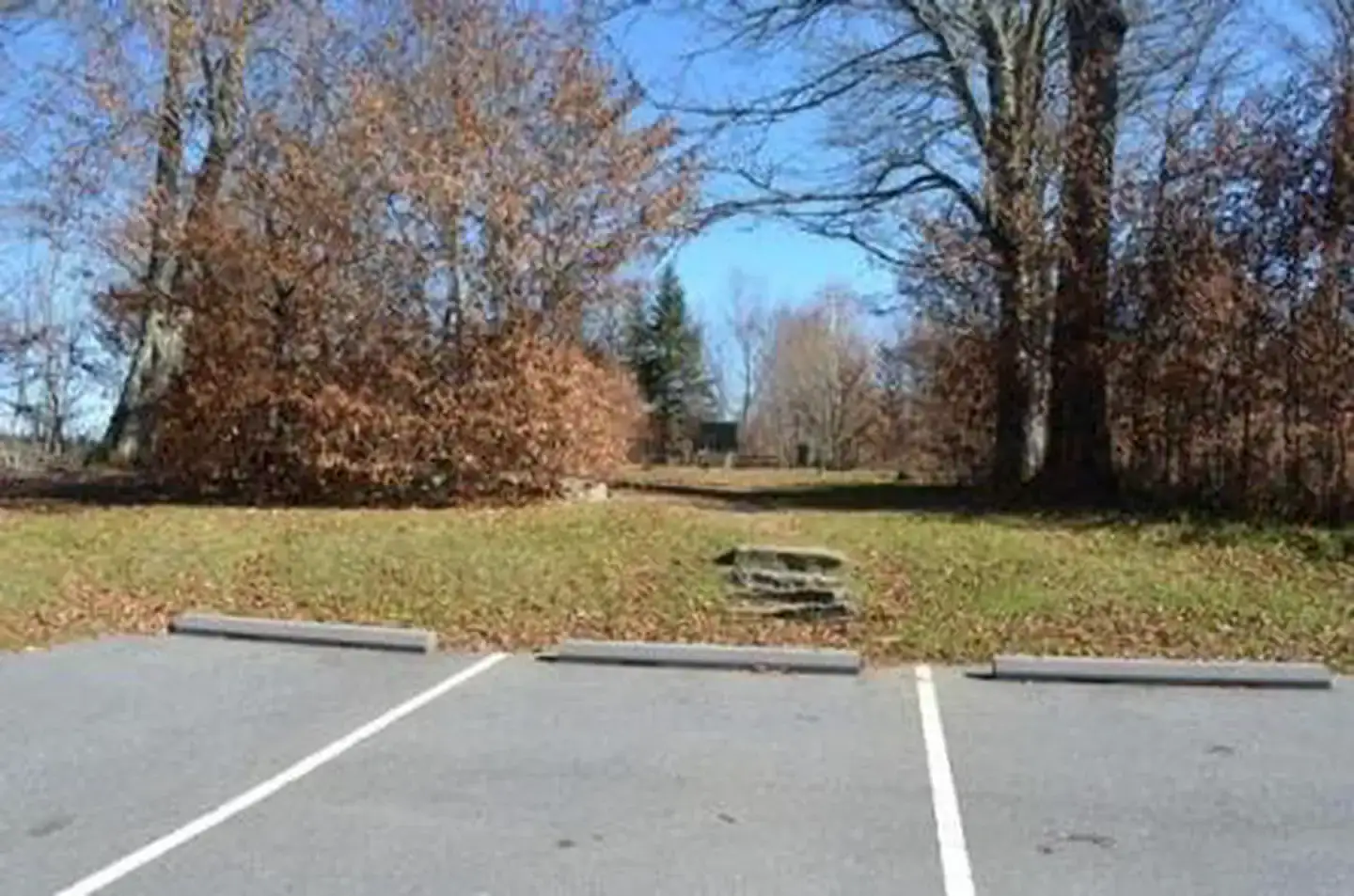 Camper-submitted photo at Balsam Mountain Campground — Great Smoky Mountains National Park near Waynesville, NC