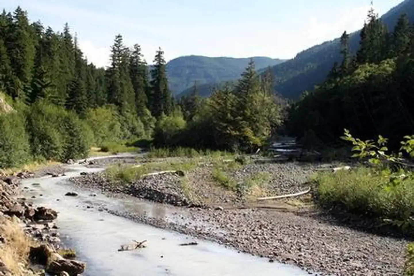 Camper-submitted photo at Silver Springs Campground near Greenwater, WA