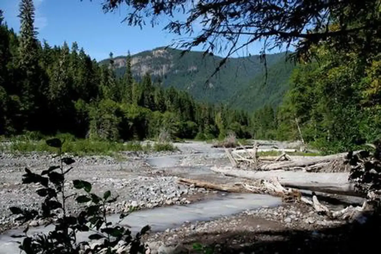 Camper-submitted photo at Silver Springs Campground near Greenwater, WA