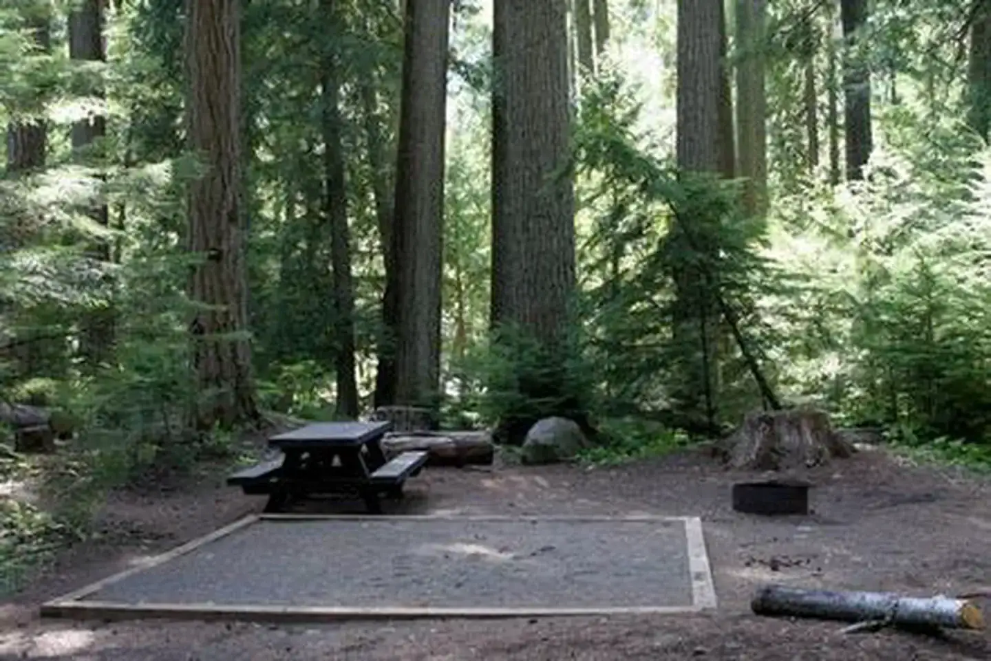 Camper-submitted photo at Silver Springs Campground near Greenwater, WA